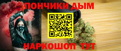 индика Жуковский