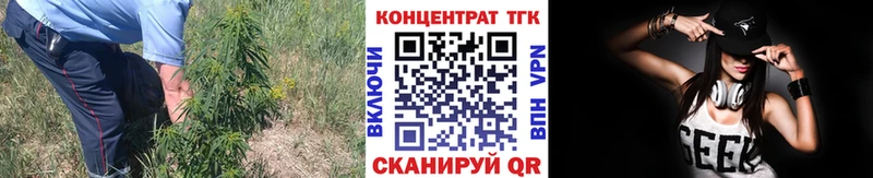 ТГК жижа darknet наркотические препараты Сургут где купить наркотик