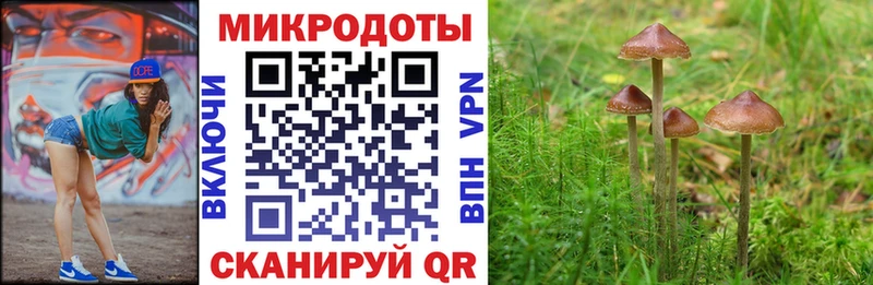 kraken маркетплейс  Сургут  Галлюциногенные грибы мицелий  где купить наркоту 