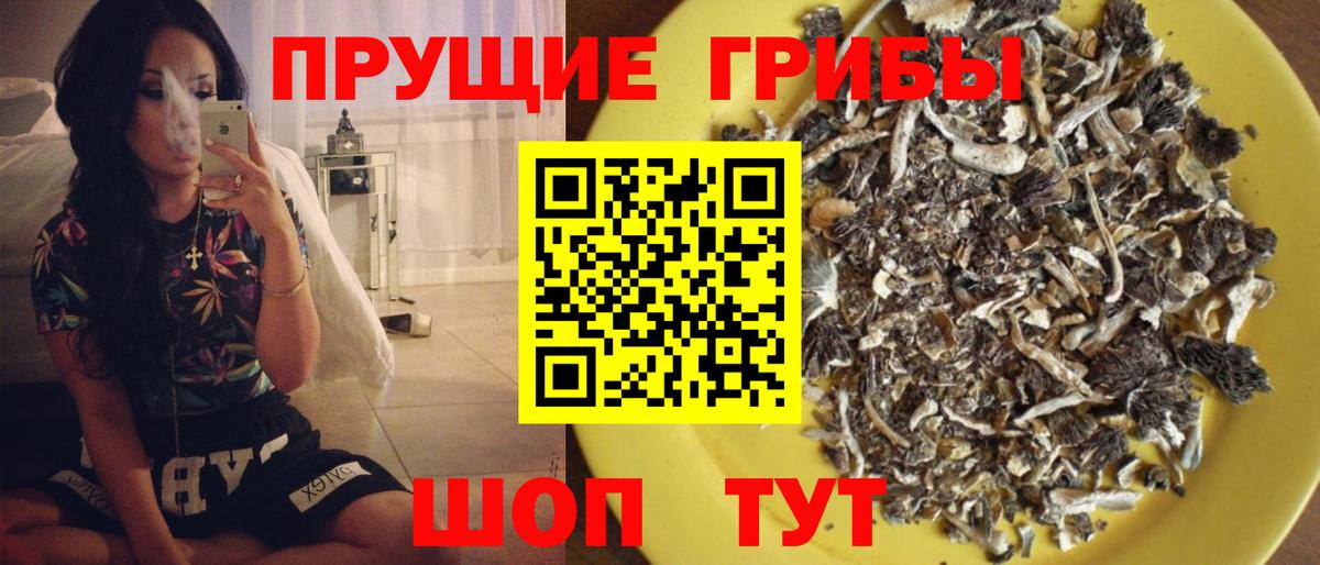 Галлюциногенные грибы GOLDEN TEACHER Сургут