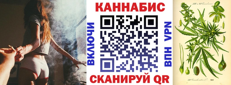 Марихуана сатива  где купить наркоту  Сургут 